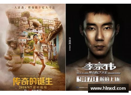 彩宝dd体育明星是谁？揭秘他们背后的传奇故事和成就