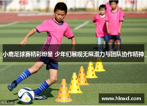 小鹿足球赛精彩纷呈 少年们展现无限潜力与团队协作精神